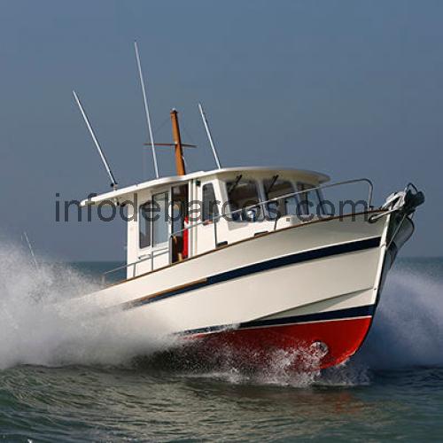 Rhea Marine 800 ficha tecnica 